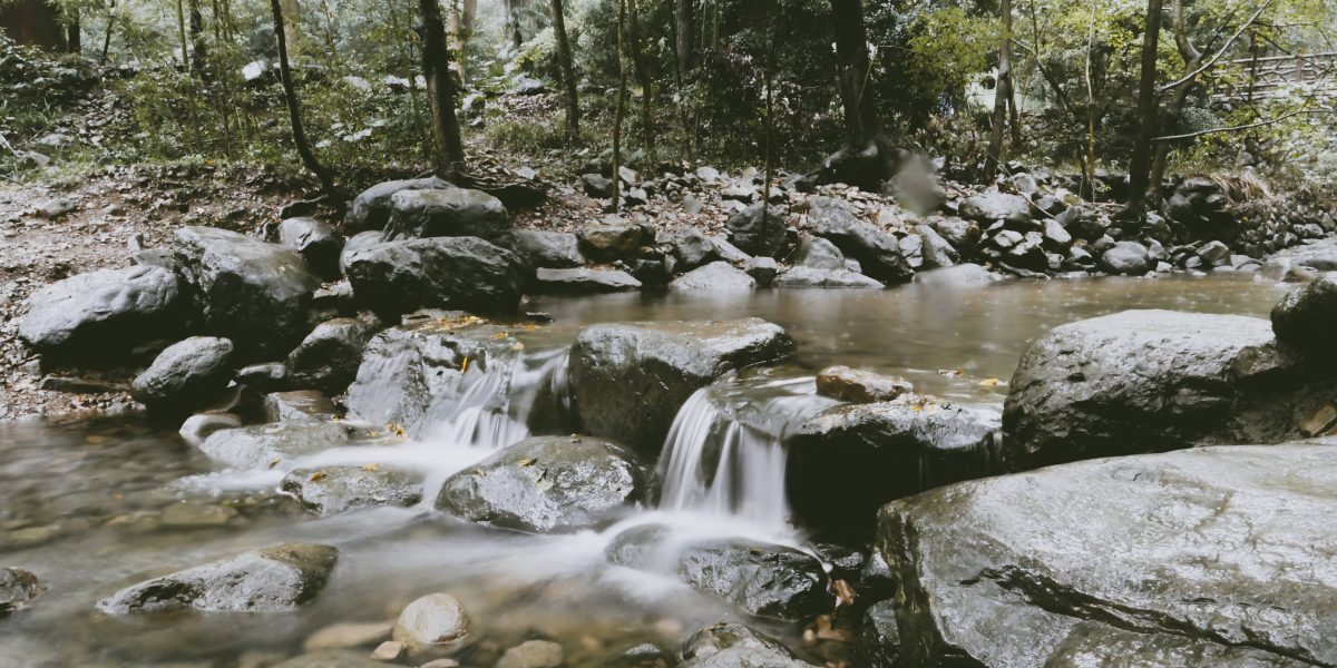 这一次，走进王维的诗里。